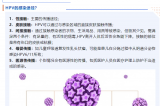 【健康科普】一文帶你了解HPV（人乳頭瘤病毒）